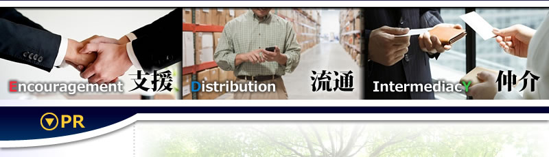 ������������ЃG�f�B�́A